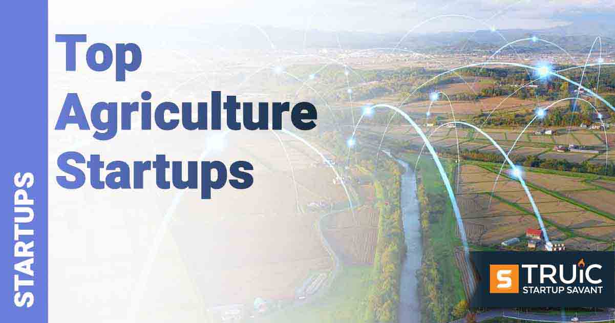 Abstract image with an aerial view of crops that has arches connecting them.