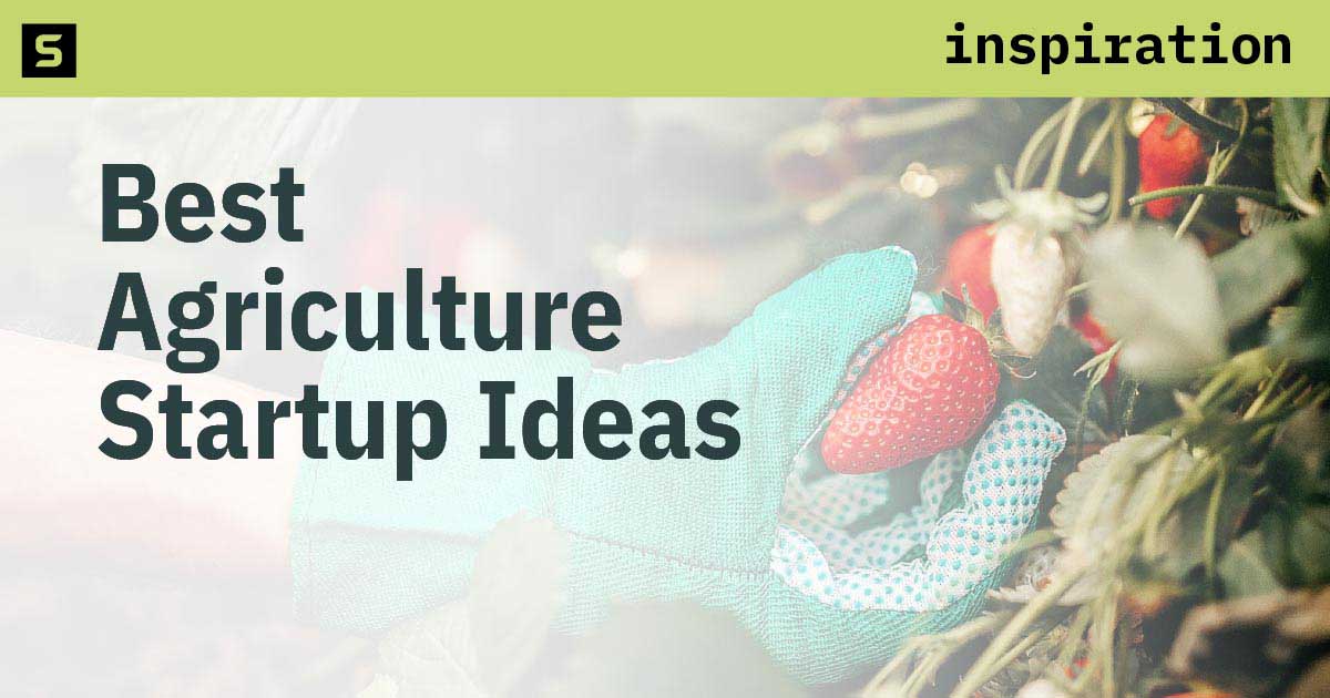 Person with gardening gloves picking strawberries.